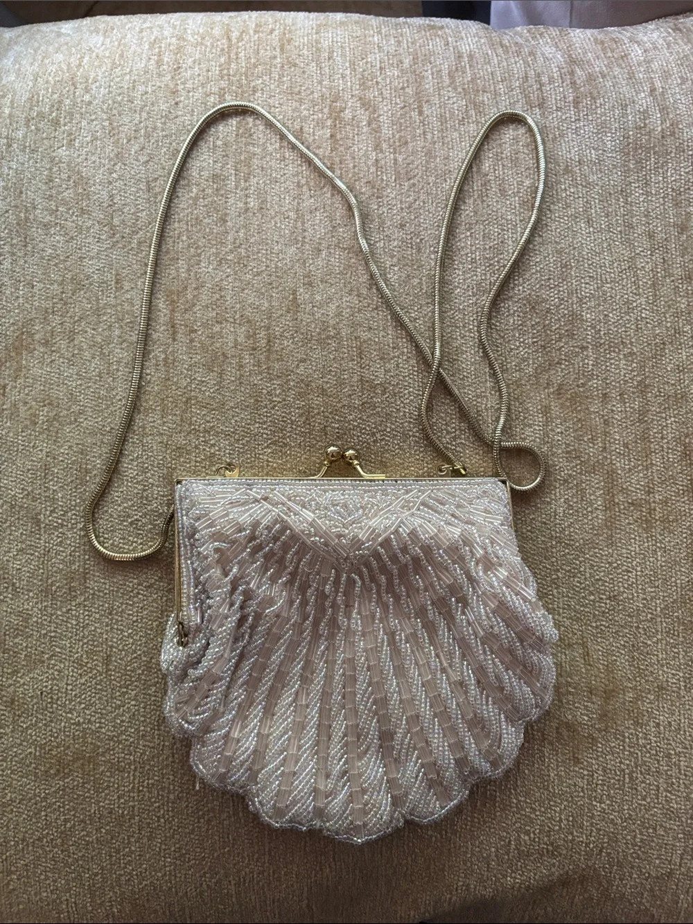 Beaded Shell Evening Crossbody Bag in Pearl